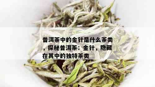 普洱茶中的金针是什么茶类，探秘普洱茶：金针，隐藏在其中的独特茶类