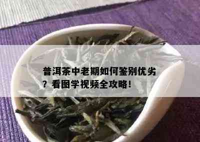 普洱茶中老期如何鉴别优劣？看图学视频全攻略！