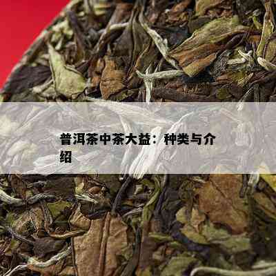 普洱茶中茶大益：种类与介绍