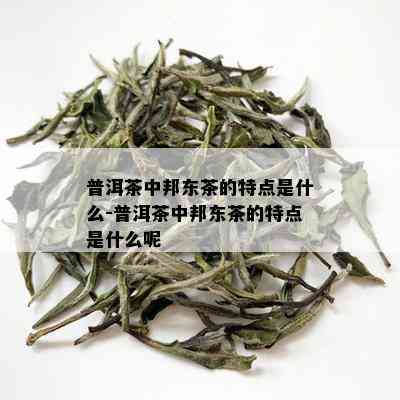 普洱茶中邦东茶的特点是什么-普洱茶中邦东茶的特点是什么呢