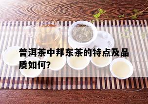 普洱茶中邦东茶的特点及品质如何？