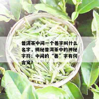 普洱茶中间一个善字叫什么名字，揭秘普洱茶中的神秘字符：中间的“善”字有何含义？