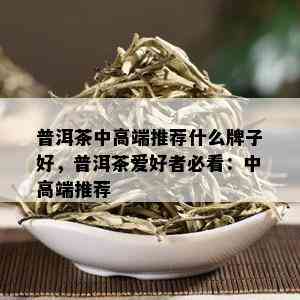 普洱茶中高端推荐什么牌子好，普洱茶爱好者必看：中高端推荐