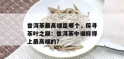 普洱茶更高端是哪个，探寻茶叶之巅：普洱茶中谁称得上更高端的？