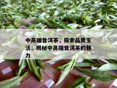 中高端普洱茶，探索品质生活：揭秘中高端普洱茶的魅力