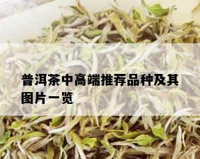 普洱茶中高端推荐品种及其图片一览