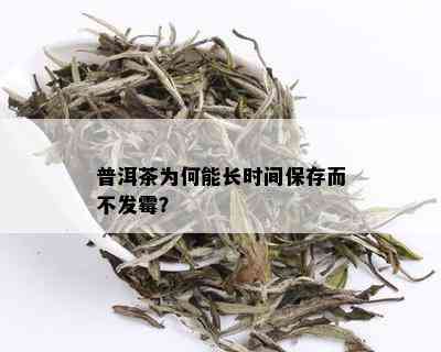 普洱茶为何能长时间保存而不发霉？