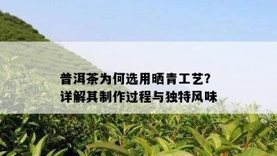 普洱茶为何选用晒青工艺？详解其制作过程与独特风味