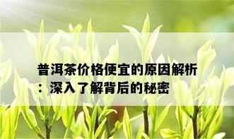 普洱茶价格便宜的原因解析：深入了解背后的秘密