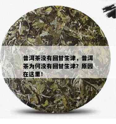 普洱茶没有回甘生津，普洱茶为何没有回甘生津？原因在这里！