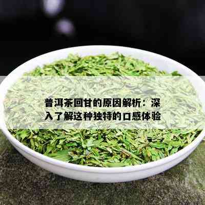 普洱茶回甘的原因解析：深入了解这种独特的口感体验