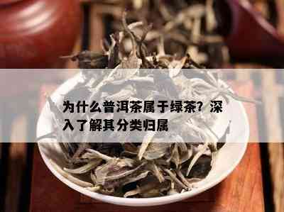 为什么普洱茶属于绿茶？深入了解其分类归属