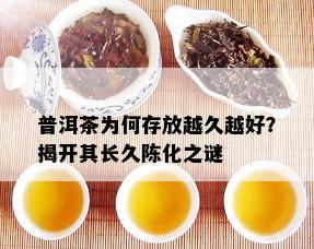 普洱茶为何存放越久越好？揭开其长久陈化之谜