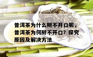 普洱茶为什么掰不开口呢，普洱茶为何掰不开口？探究原因及解决方法