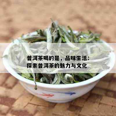 普洱茶喝的是，品味生活：探索普洱茶的魅力与文化