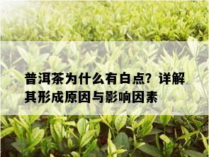 普洱茶为什么有白点？详解其形成原因与影响因素