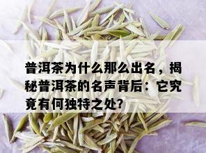 普洱茶为什么那么出名，揭秘普洱茶的名声背后：它究竟有何独特之处？