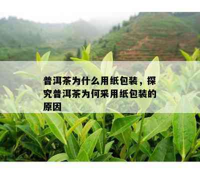 普洱茶为什么用纸包装，探究普洱茶为何采用纸包装的原因