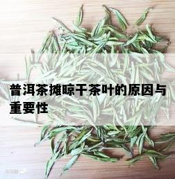 普洱茶摊晾干茶叶的原因与重要性