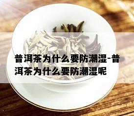 普洱茶为什么要防潮湿-普洱茶为什么要防潮湿呢