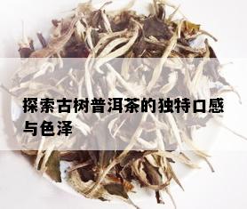 探索古树普洱茶的独特口感与色泽