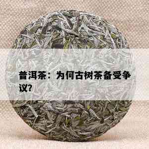 普洱茶：为何古树茶备受争议？