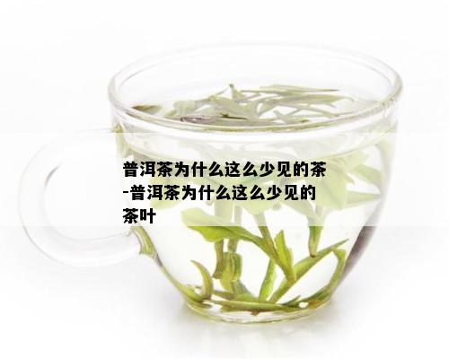 普洱茶为什么这么少见的茶-普洱茶为什么这么少见的茶叶