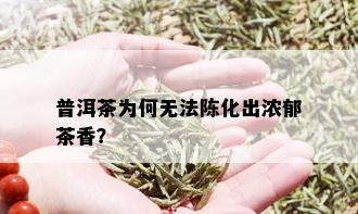 普洱茶为何无法陈化出浓郁茶香？