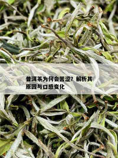 普洱茶为何会苦涩？解析其原因与口感变化