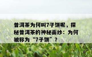 普洱茶为何叫7子饼呢，探秘普洱茶的神秘面纱：为何被称为“7子饼”？