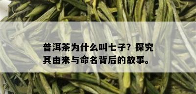 普洱茶为什么叫七子？探究其由来与命名背后的故事。