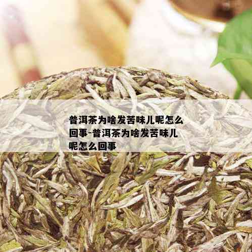 普洱茶为啥发苦味儿呢怎么回事-普洱茶为啥发苦味儿呢怎么回事