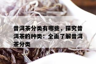 普洱茶分类有哪些，探究普洱茶的种类：全面了解普洱茶分类