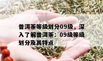 普洱茶等级划分09级，深入了解普洱茶：09级等级划分及其特点