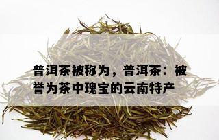 普洱茶被称为，普洱茶：被誉为茶中瑰宝的云南特产