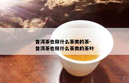 普洱茶也称什么茶类的茶-普洱茶也称什么茶类的茶叶