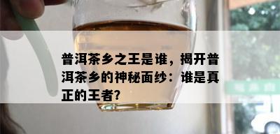 普洱茶乡之王是谁，揭开普洱茶乡的神秘面纱：谁是真正的王者？