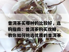 普洱茶买哪种的比较好，选购指南：普洱茶购买攻略，教你如何挑选优质的普洱茶