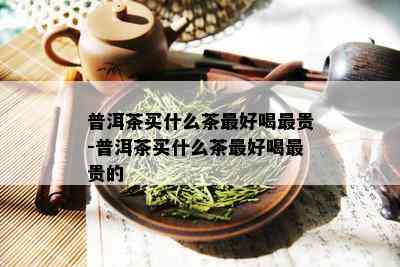 普洱茶买什么茶更好喝最贵-普洱茶买什么茶更好喝最贵的