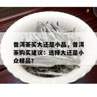 普洱茶买大还是小品，普洱茶购买建议：选择大还是小众精品？