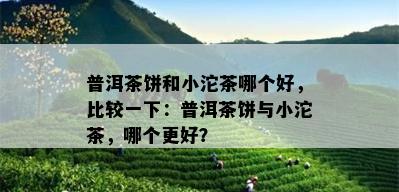 普洱茶饼和小沱茶哪个好，比较一下：普洱茶饼与小沱茶，哪个更好？