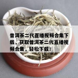 普洱茶二代直播视频合集下载，获取普洱茶二代直播视频合集，轻松下载！