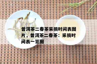 普洱茶二春茶采摘时间表图片，普洱茶二春茶：采摘时间表一览图