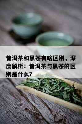 普洱茶和黑茶有啥区别，深度解析：普洱茶与黑茶的区别是什么？