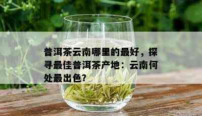 普洱茶云南哪里的更好，探寻更佳普洱茶产地：云南何处最出色？