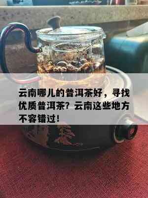 云南哪儿的普洱茶好，寻找优质普洱茶？云南这些地方不容错过！