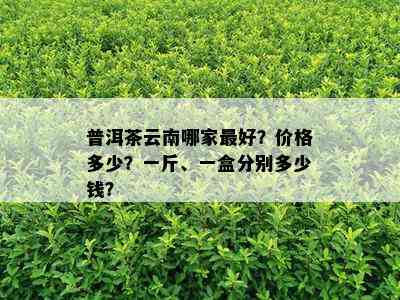 普洱茶云南哪家更好？价格多少？一斤、一盒分别多少钱？