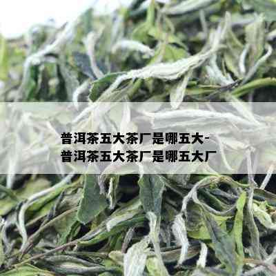 普洱茶五大茶厂是哪五大-普洱茶五大茶厂是哪五大厂