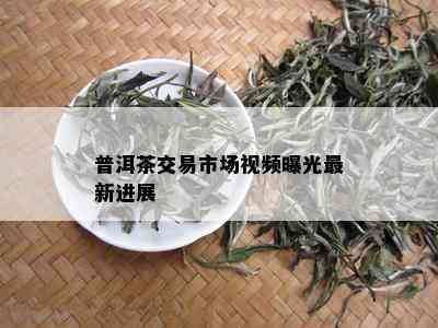 普洱茶交易市场视频曝光最新进展