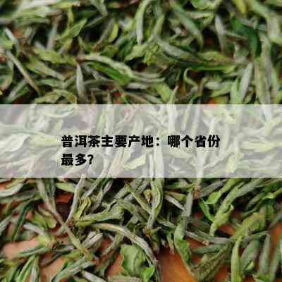 普洱茶主要产地：哪个省份最多？